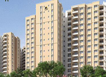 Dewatering Companies in India